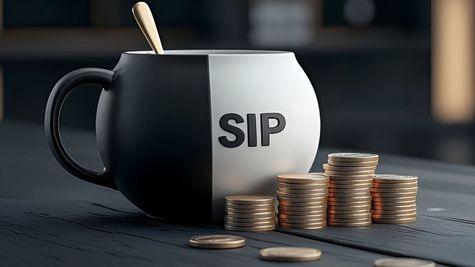 ഒരു ബിരിയാണിക്കുള്ള പണം മാറ്റിവെക്കാനുണ്ടോ? എസ്ഐപിയിൽ ഒരു കോടി നേടാം