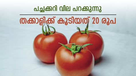 കുടുംബ ബജറ്റ് താളം തെറ്റിച്ച് തക്കാളിയും മുരിങ്ങയും, വില കത്തിക്കയറുന്നു, ചതിച്ചത് താളം തെറ്റിയ മഴ