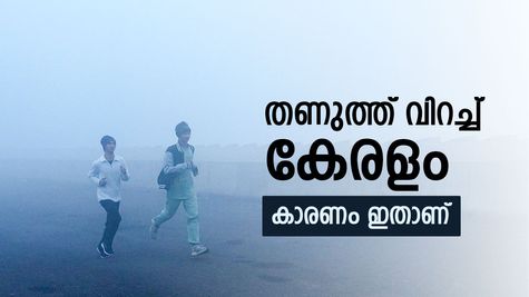 കുളിര് കോരി കേരളം, മൂന്നാറിൽ താപനില പൂജ്യത്തിലും താഴെ, മലയോരമേഖലകളിലേക്ക് സഞ്ചാരികളുടെ ഒഴുക്ക്