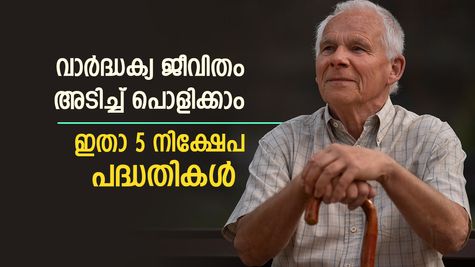 വയസായാലും പണത്തിന് ബുദ്ധിമുട്ടില്ല, ഇതാ 5 നിക്ഷേപ പദ്ധതികൾ, എല്ലാമാസവും മികച്ച വരുമാനം ഉറപ്പാക്കാം