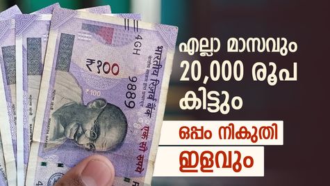മുതിർന്ന പൗരന്മാർക്ക് പ്രതിമാസം 20,000 രൂപ സമ്പാദിക്കാം, കേന്ദ്രസർക്കാർ പദ്ധതിയുണ്ട്, ചെയ്യേണ്ടത് ഇത്ര മാത്രം