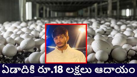 స్కూలు మానేసి పుట్టగొడుగుల వ్యాపారం.. రూ.18 లక్షలు సంపాదన..ఈ కుర్రాడి కథ చదివారా..