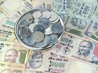 Money plant: इंतज़ार कर रहे हैं पहली सैलरी का तो पढ़ें यह खबर 