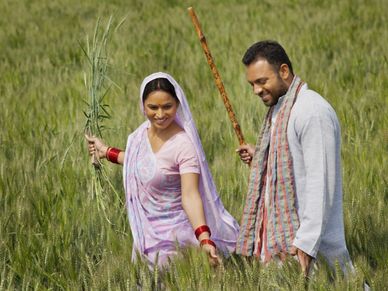 रबी फसलों की MSP बढ़कर हुई 21 प्रतिशत, किसानों को मिली सौगात 