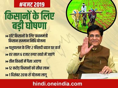 budget 2019 : किसानों को हर साल 6 हजार रुपये देने की घोषणा