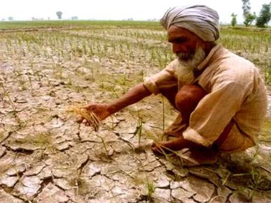 PM-Kisan portal लॉन्च, जानें कैसे किसान देखें अपना नाम 