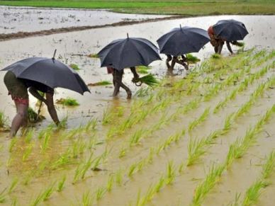 सामान्य Monsoon की खबर से लुढ़के खाने-पीने की चीजों के दाम
