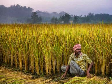 pm kisan : पैसा मिला या नहीं, अब इस नई वेबसाइट से लें जानकारी 