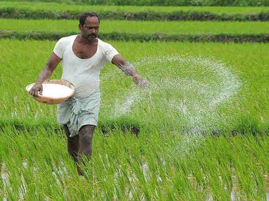 बजट 2019: जीरो बजट फार्मिंग' को देंगे बढ़ावा