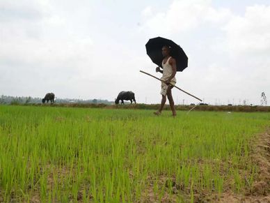 मोदी सरकार ला रही सबसे बड़ी कर्ज माफी योजना, उठाएं फायदा 