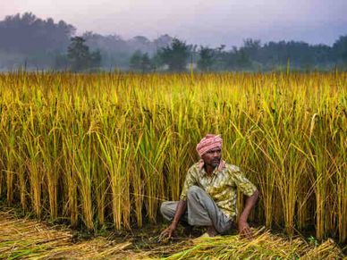 पीएम किसान : 6 करोड़ किसानों को पैसा मिलने का रास्ता साफ 