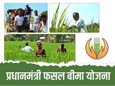 प्रधानमंत्री फसल बीमा योजना के 5 मुख्य फायदे, जानिये यहाँ