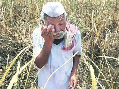पीएम किसान स्कीम से जुड़े हैं तो मिलेगा सस्ता लोन, जानें तैयारी