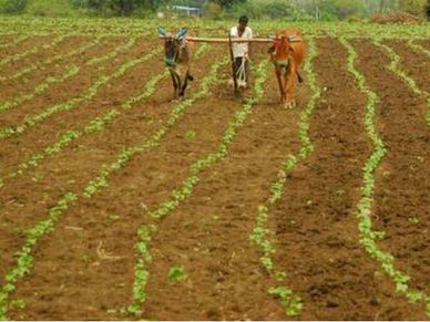 PM Kisan : 8 करोड़ किसान पाएंगे 1 अप्रैल को पैसा, 15000 करोड़ रु बंटना है 