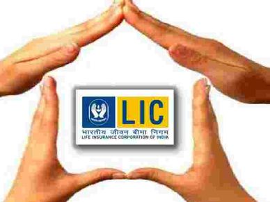 LIC : पॉलि‍सी होल्‍डर्स इन बातों का रहे ध्‍यान, वरना डूब जाएगा पैसा 