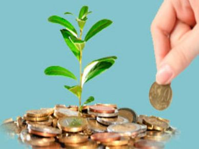 Mutual Fund : जून तिमाही में फोलियो की संख्या में जबरदस्‍त उछाल, निवेशकों की संख्या 18 लाख बढ़ी