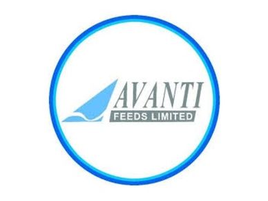 Avanti Feeds : 1000 रु को बना दिया सवा लाख, जानें आगे क्या होगा