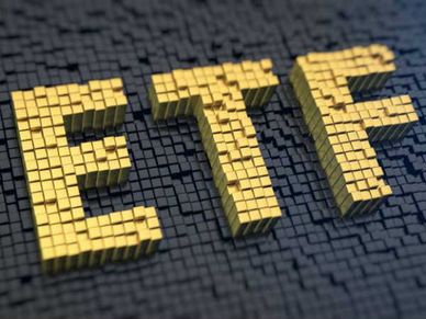 ETF : सिर्फ 1 साल में 5 लाख रु पर दिया 2.15 लाख रु से ज्यादा का मुनाफा