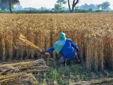 किसानों को सरकार से मिलेंगे 10 लाख रु, जानिए कौन ले सकेगा फायदा