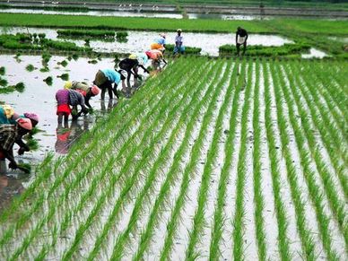 PM Kisan : ऐसे सही करें Aadhaar नंबर, वरना नहीं म‍िलेगी अगली किस्त