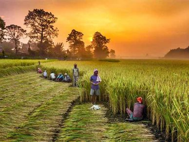 Budget 2021 : क्या किसानों को मिलेगी बड़ी सौगात