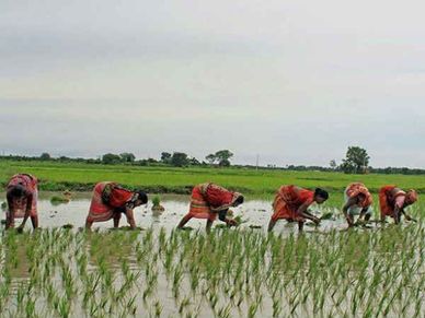 पीएम किसान योजना : इन लोगों को दोबारा कराना होगा रजिस्ट्रेशन, वरना नहीं मिलेगा पैसा