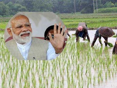PM Kisan : सरकार ने किया बड़ा बदलाव, फॉर्म भरने से पहले जान लें नया नियम