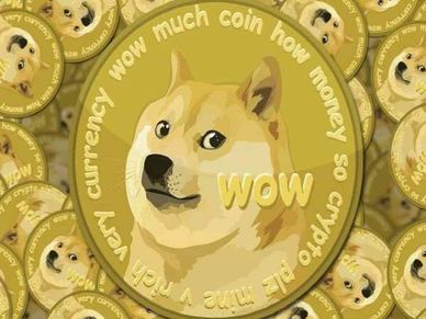 Dogecoin : तीन महीने में दौलत कर दी 8 गुना, ये निवेशक हुआ मालामाल