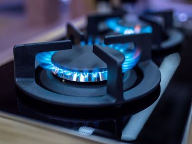 Cooking Gas : LPG से काफी सस्ती है ये जुगाड़, होगी तगड़ी बचत