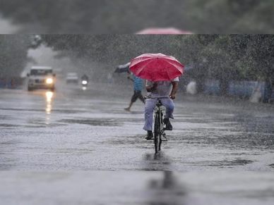 Business Idea : ये हैं मानसून के कारोबार, तुरंत शुरू करें कमाई