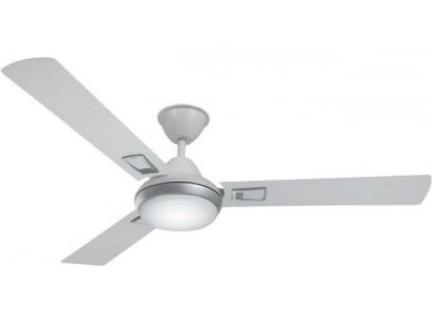 Ceiling Fan :  रिमोट से चलने वाले ये दमदार पंखे बचाते हैं बिजली, मोटर भी चलती है सालों साल 