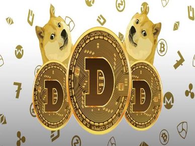 एलन मस्क की पसंदीदा DogeCoin करा रही सबसे ज्यादा नुकसान, 10 फीसदी पैसा आज डुबाया 
