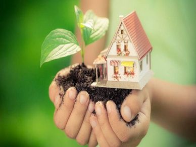 Eco Friendly हो जाएगा आपका घर, तुरंत करें ये 4 काम  