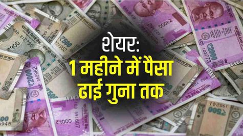 शेयरों ने बरसाया पैसा : 1 महीने में किया पैसा ढाई गुना से अधिक तक, निवेशक मालामाल