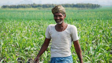 Farmers Schemes : किसानों के लिए ये 5 शानदार सरकारी योजनाएं, जानिए नाम     
