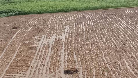 Property : खेती की भूमि पर क्या बनाया जा सकता हैं घर, जानिए यहां  