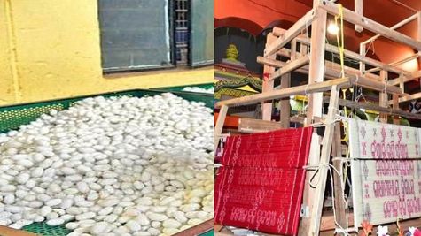 ओडिशा सरकार के करुणा सिल्क प्रोजेक्ट का 7 जिलों में विस्तार, 2000 से अधिक किसान जोड़े गए  