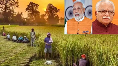 प्रधानमंत्री फसल बीमा योजना के तहत किसानों को सबसे अधिक मुआवजा देने वाला राज्‍य बना हरियाणा