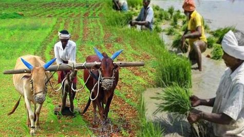 आंध्र प्रदेश पहुंचा अंतरराष्ट्रीय प्रतिनिधिमंडल, प्राकृतिक खेती पहलों का किया निरीक्षण