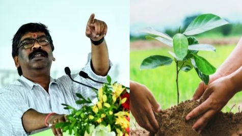 Jharkhand: पेड़ लगाओ और बिजली बिल में छूट पाओ, जानिए झारखंड सरकार की अनूठी योजना की डिटेल 