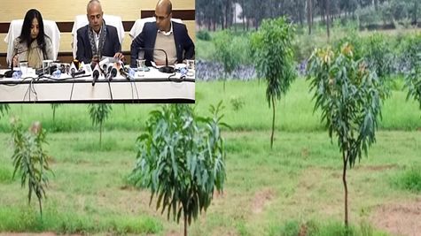 झारखंड: बागवानी के जरिए बीते चार सालों में कुल 1,27,381 परिवारों को लाभान्वित किया गया 