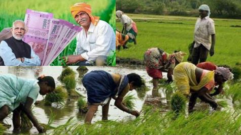 छत्तीसगढ़ में 15 जनवरी तक पीएम सम्मान निधि योजना से सभी छूटे हुए पात्र लाभार्थियों को जोड़ा जाएगा 