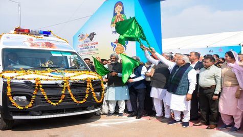 Haryana News: सीएम खट्टर ने पशु चिकित्सालय के टोल फ्री 1962 का किया शुभारंभ, 70 पशुधन एंबुलेंस को किया रवाना 