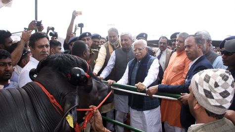 Haryana News: हरियाणा सरकार 1000 पशुओं की गौशाला खोलने पर शेड के लिए देगी 70 लाख रुपए, जानिए पूरी योजना