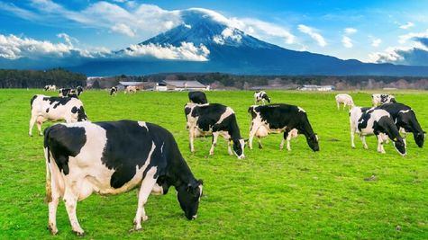 AHIDF से किसानों की आय दोगुनी करेगी, स्कीम की बढ़ाई गई डेडलाइन 