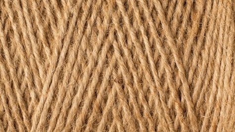 Farming Business Idea: जूट की खेती करके कमा सकते हैं जबरदस्त प्रॉफिट, जानें तरीके 