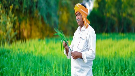 Fertiliser Subsidy To Farmers: खरीफ फसल की खाद के लिए किसानों को मिलेगी 24000 करोड़ रु की सब्सीडी