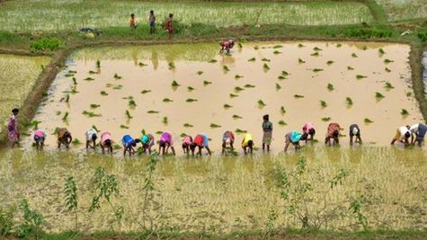 यूपी में स्टार्टअप करना हुआ आसान, नहीं देनी होगी ये फीस