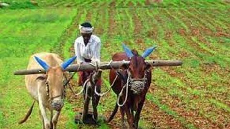 किसानों के लाभ के लिए हरियाणा सरकार का बड़ा कदम, मेरी माटी मेरा देश पर कार्यशाला-प्रदर्शनी का आयोजन