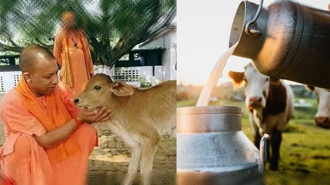 UP News: बड़े पैमाने पर रोजगार देगा डेयरी सेक्टर, धरातल पर  9 हजार करोड़ रुपये से अधिक के  निवेश 